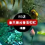 非暴力沟通马歇尔 -九博娱乐